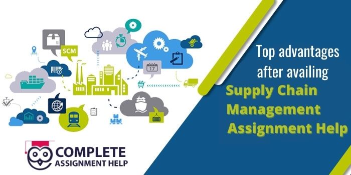Top advantages after availing  Supply Chain Management Assignment Help