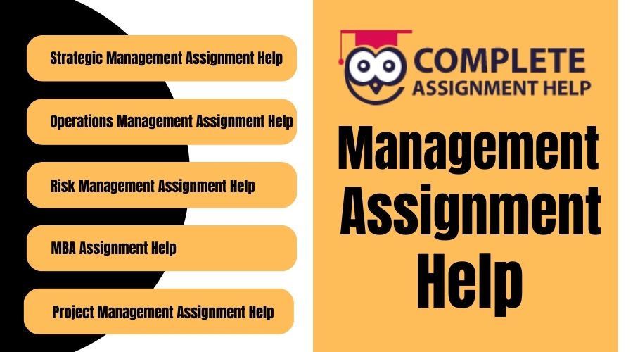Management Assignment Help by Professional Writers