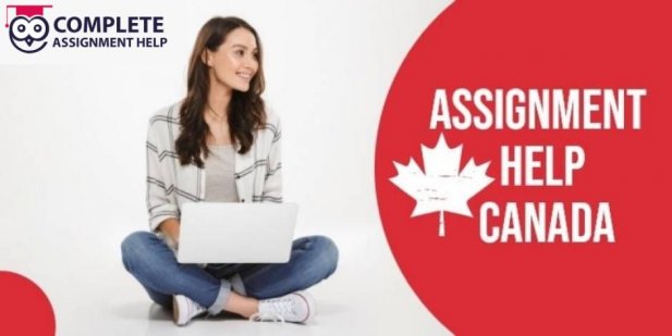 Assignment Help in Canada: Finding the Perfect Solution for Your Academic Challenges